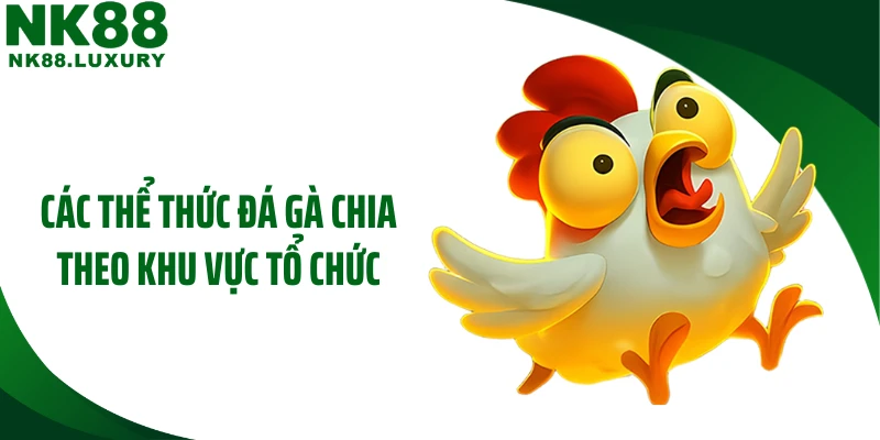 Các thể thức đá gà chia theo khu vực tổ chức