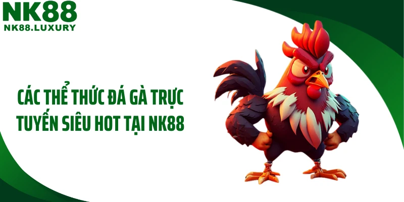 Các thể thức đá gà trực tuyến siêu hot tại NK88