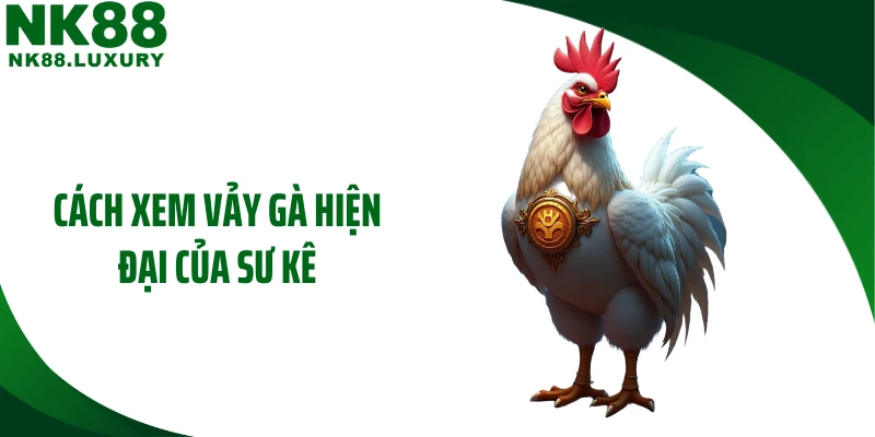 Cách xem vảy gà hiện đại của sư kê