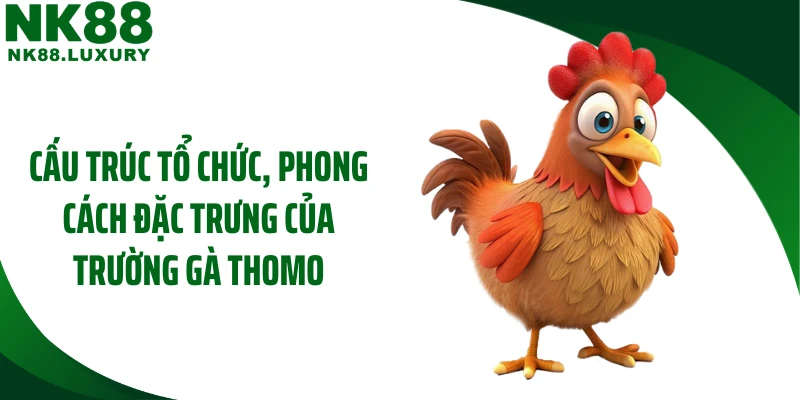 Cấu trúc tổ chức, phong cách đặc trưng của trường gà Thomo