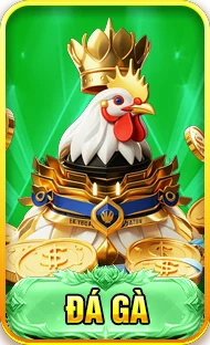 đá gà