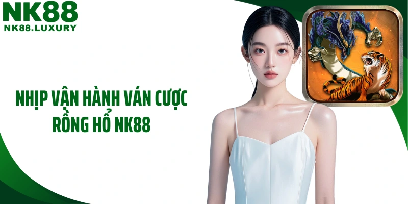 Nhịp vận hành ván cược rồng hổ NK88