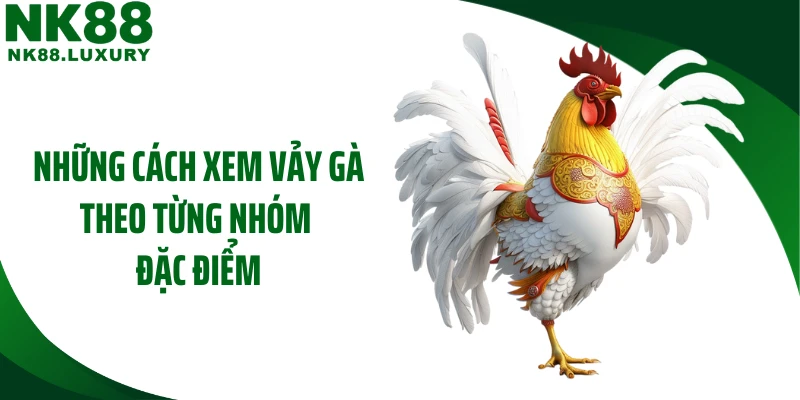 Những cách xem vảy gà theo từng nhóm đặc điểm