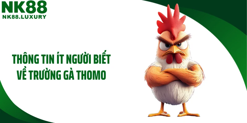 Thông tin ít người biết về trường gà Thomo